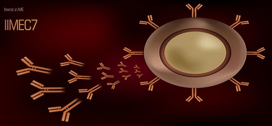 IIMEC7 